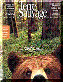 Click here for Terre Web Site