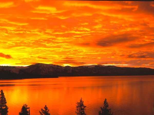SkyFire