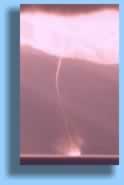 Tight Rope- click here for enlargement