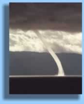 Twister II- click here for enlargement